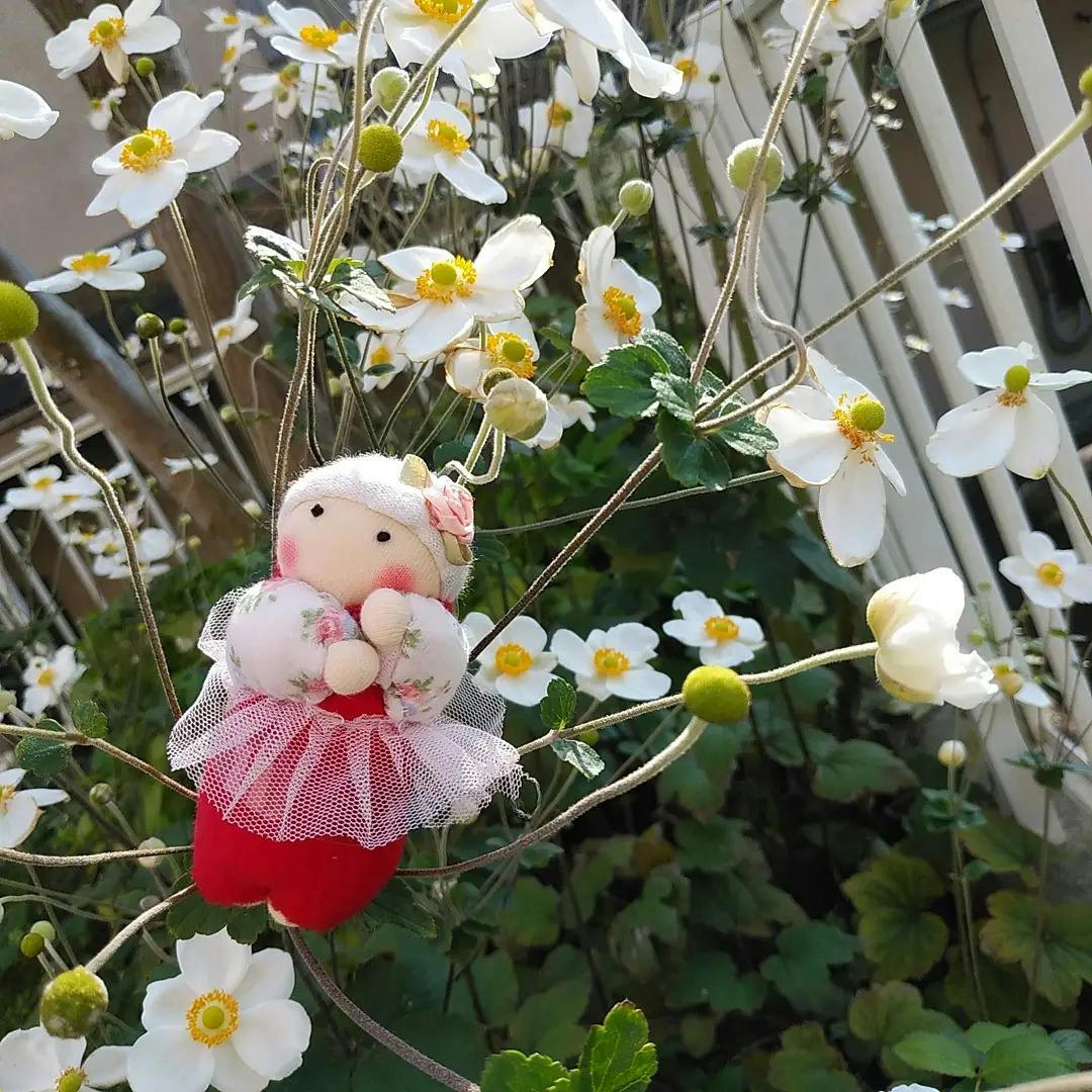 5番目のメイン画像