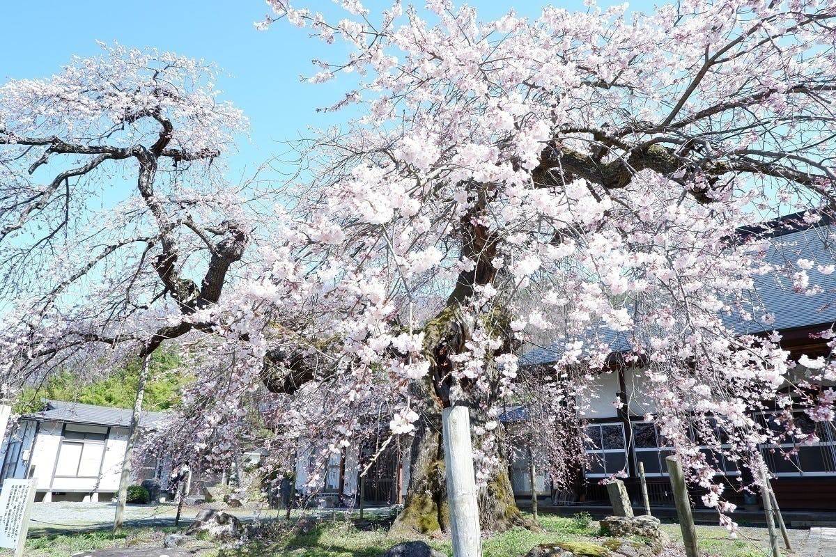 4番目のメイン画像