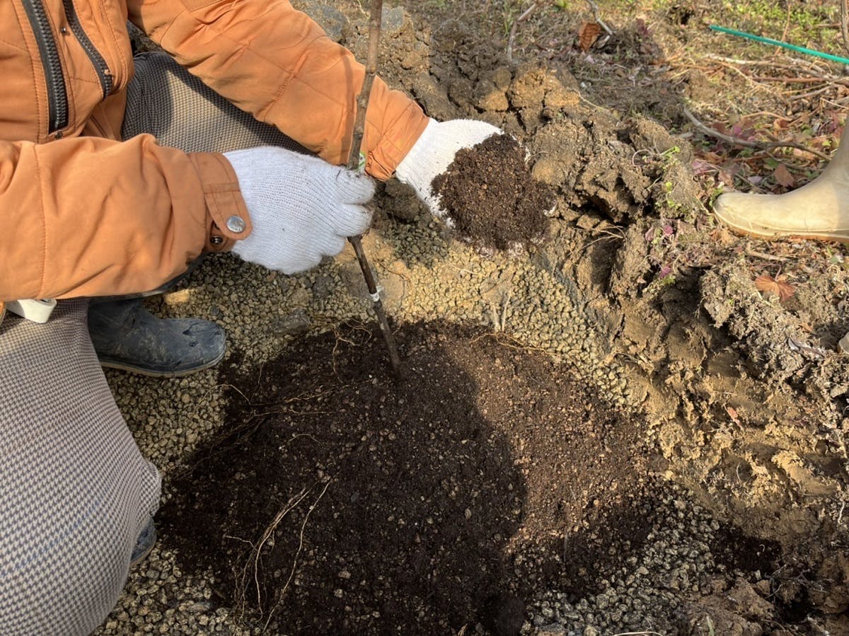 4番目のメイン画像