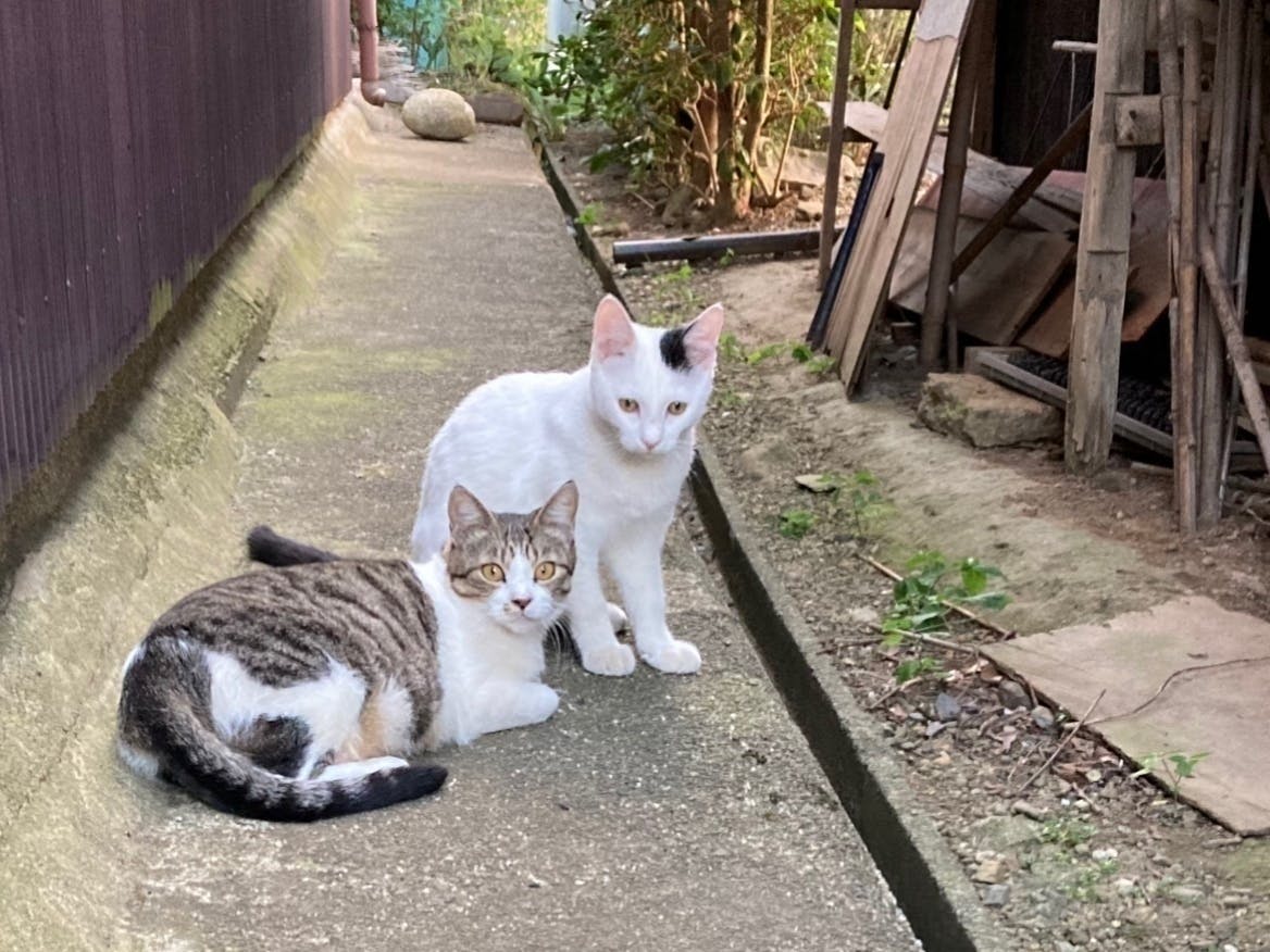 4番目のメイン画像