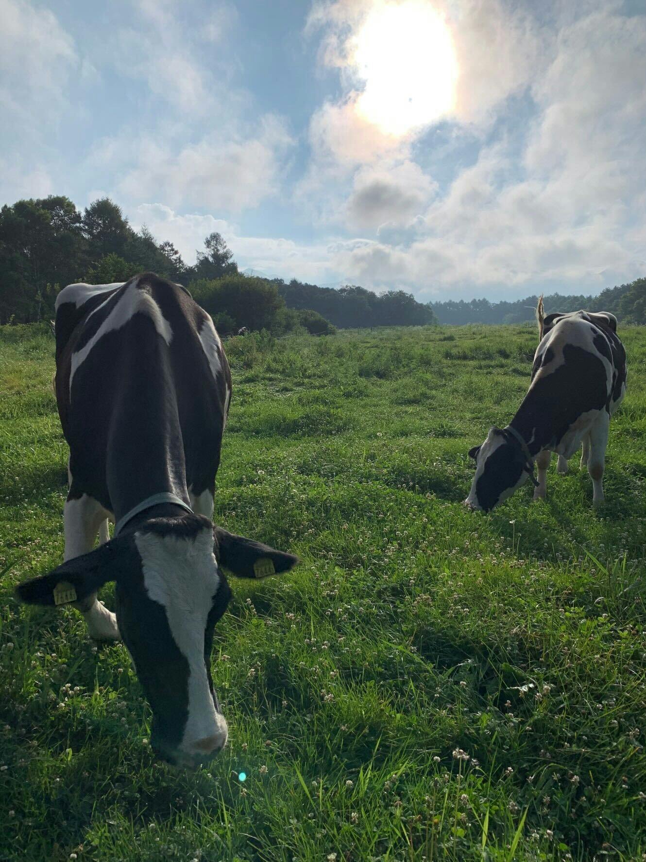 4番目のメイン画像