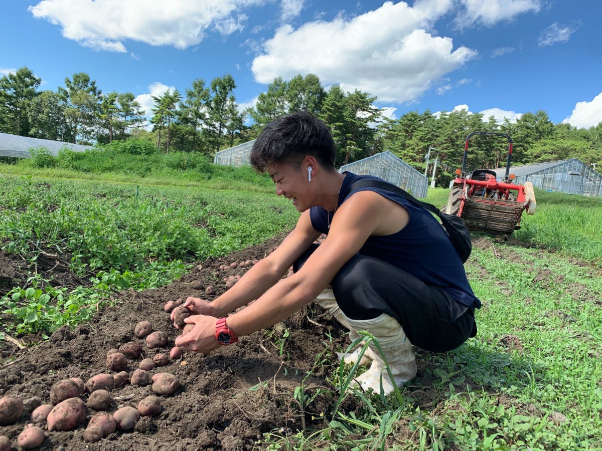 2番目のメイン画像