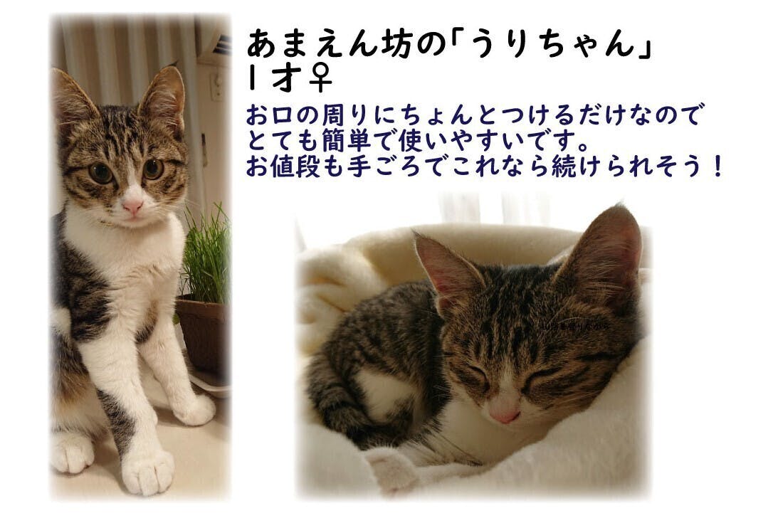 4番目のメイン画像