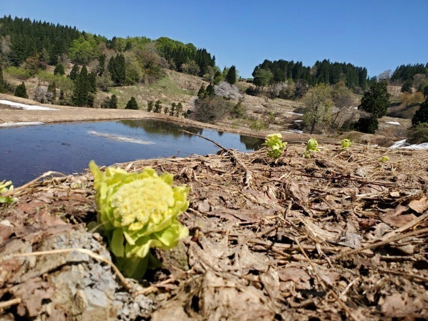 2番目のメイン画像