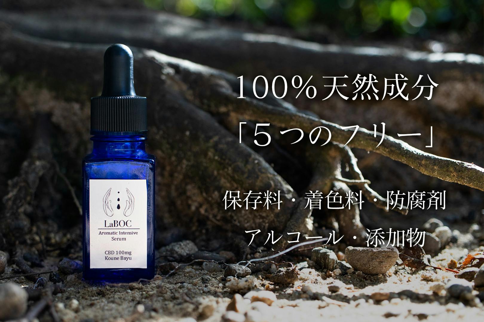 3番目のメイン画像