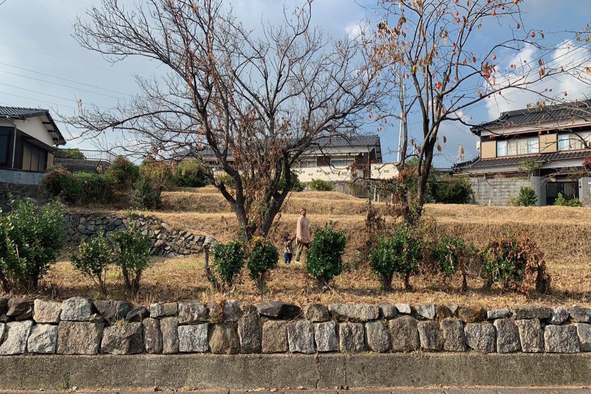 2番目のメイン画像