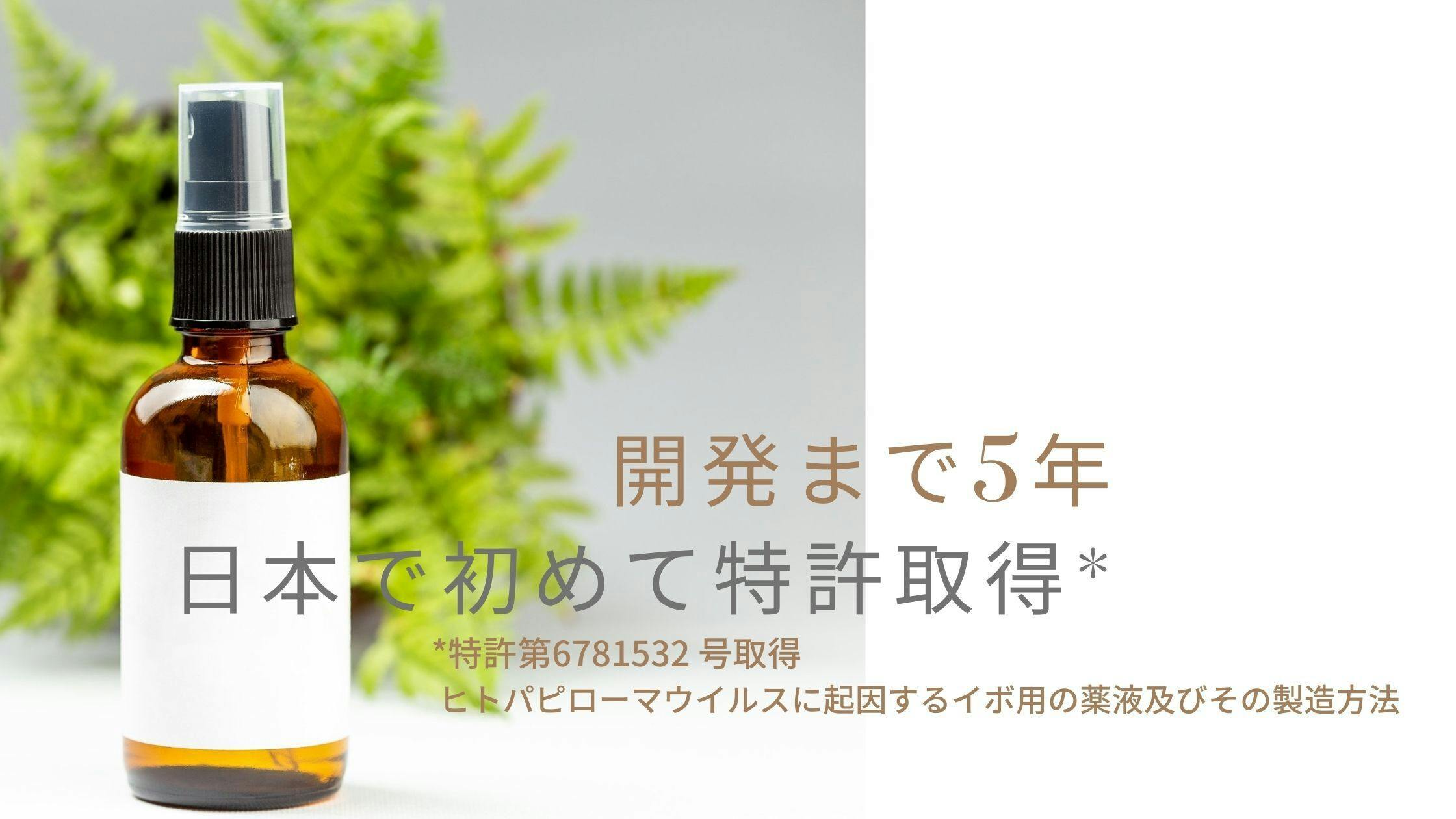 2番目のメイン画像