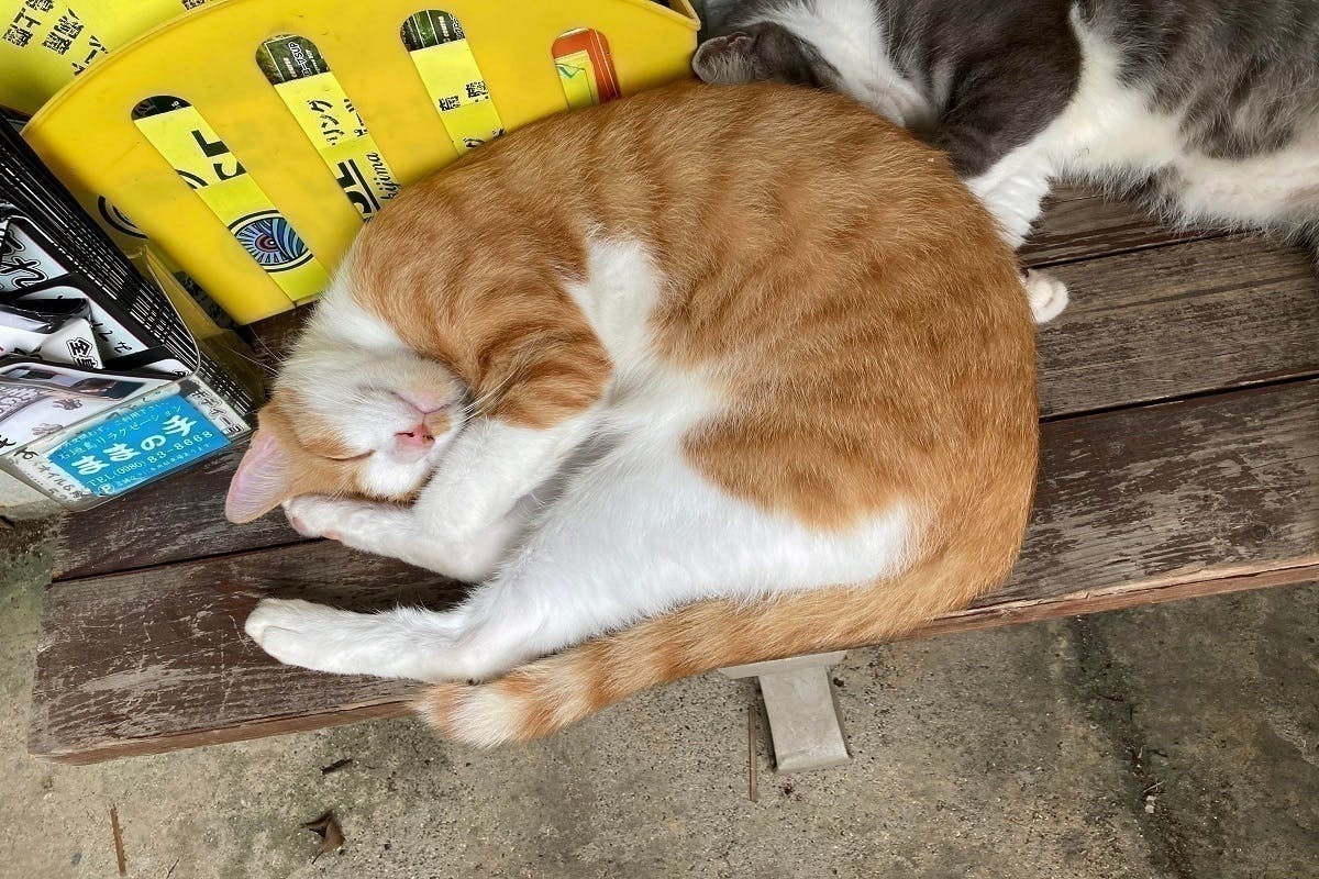 5番目のメイン画像