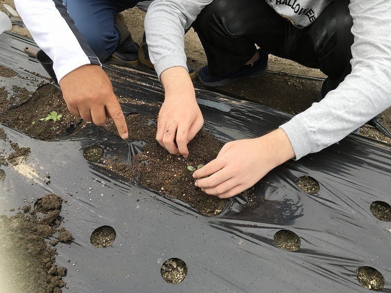 5番目のメイン画像