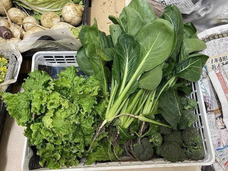 3番目のメイン画像