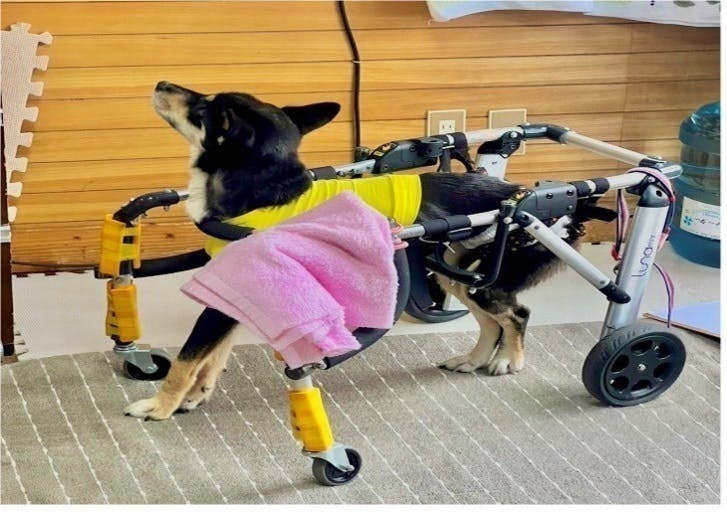 3番目のメイン画像