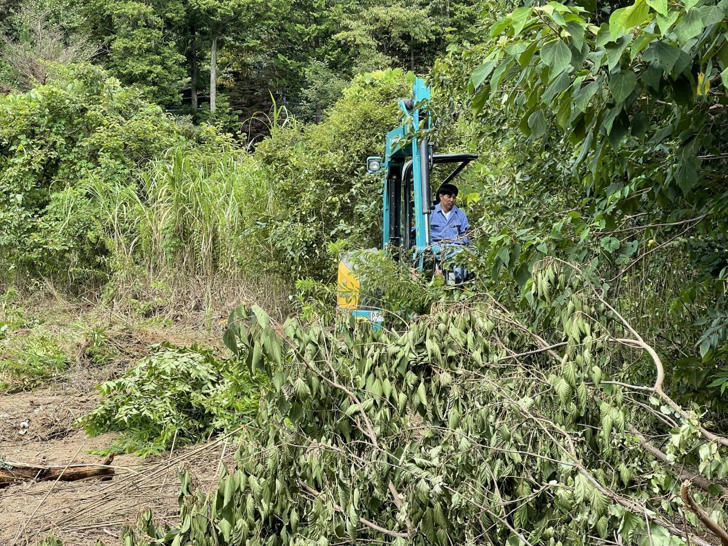 2番目のメイン画像