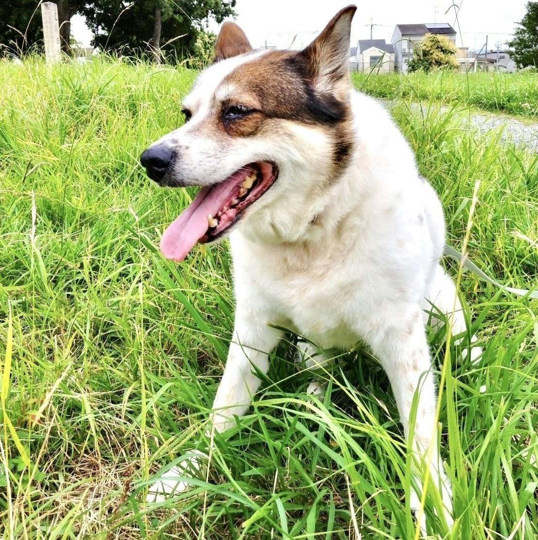 5番目のメイン画像