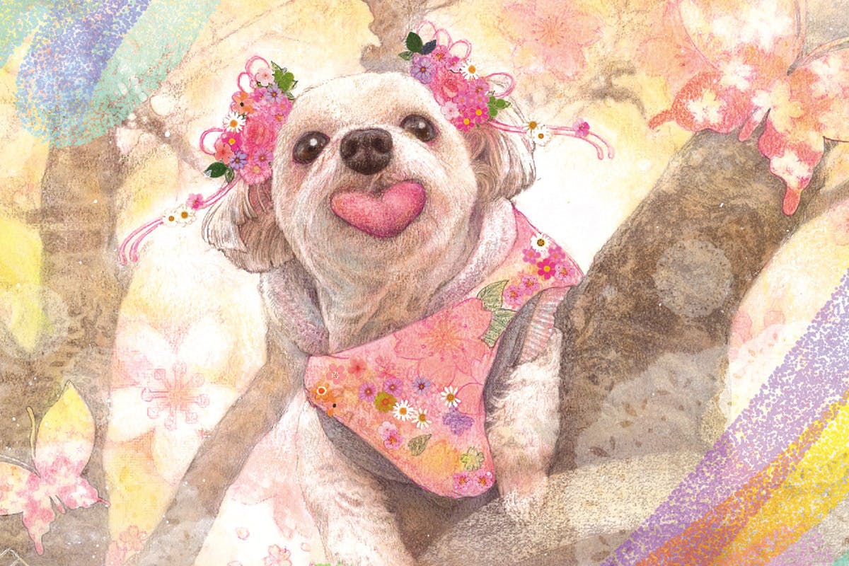 4番目のメイン画像