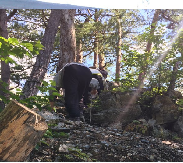 5番目のメイン画像