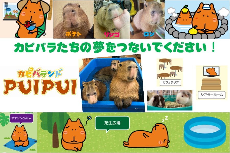 1番目のメイン画像