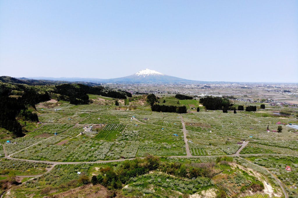 4番目のメイン画像