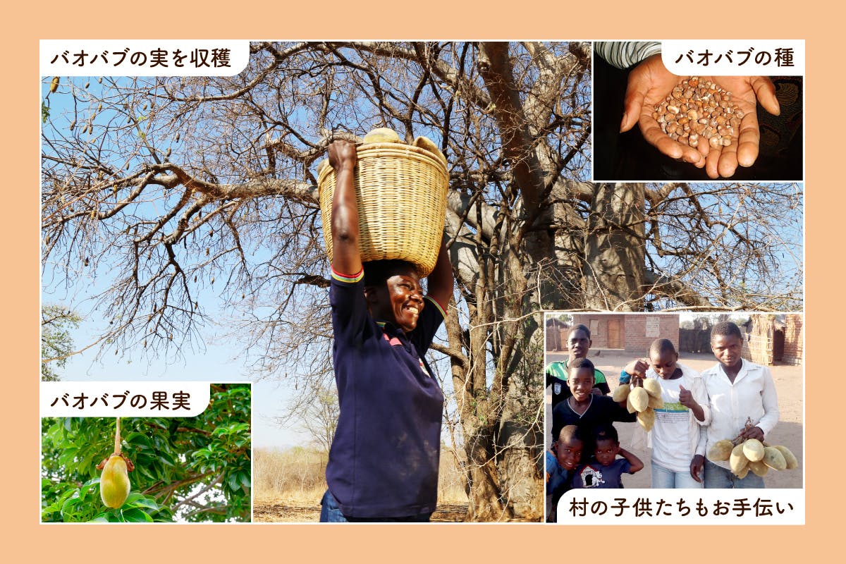 4番目のメイン画像