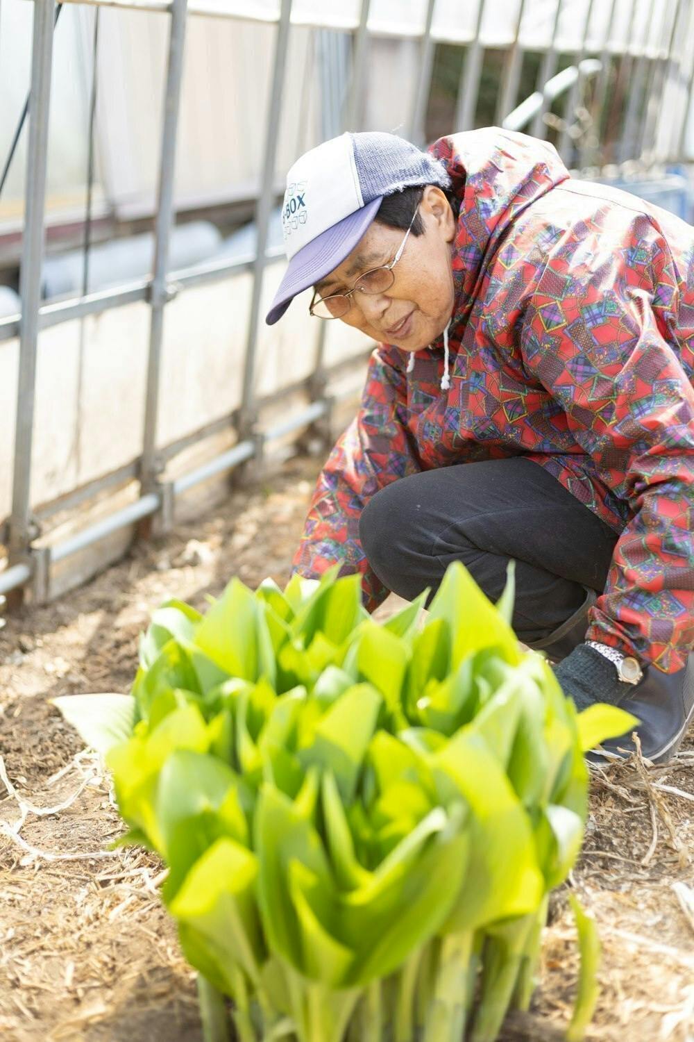 4番目のメイン画像