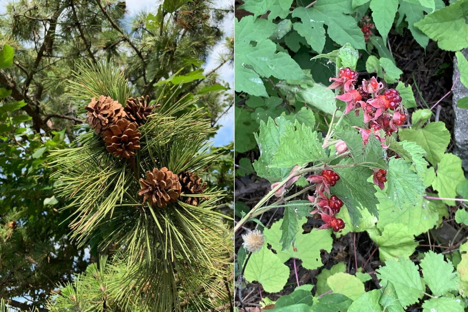 5番目のメイン画像