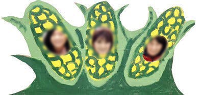 4番目のメイン画像