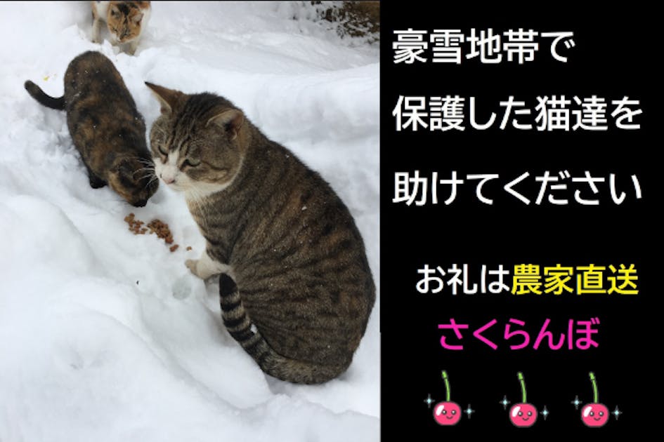 3faf32a2-06f3-42ae-b839-