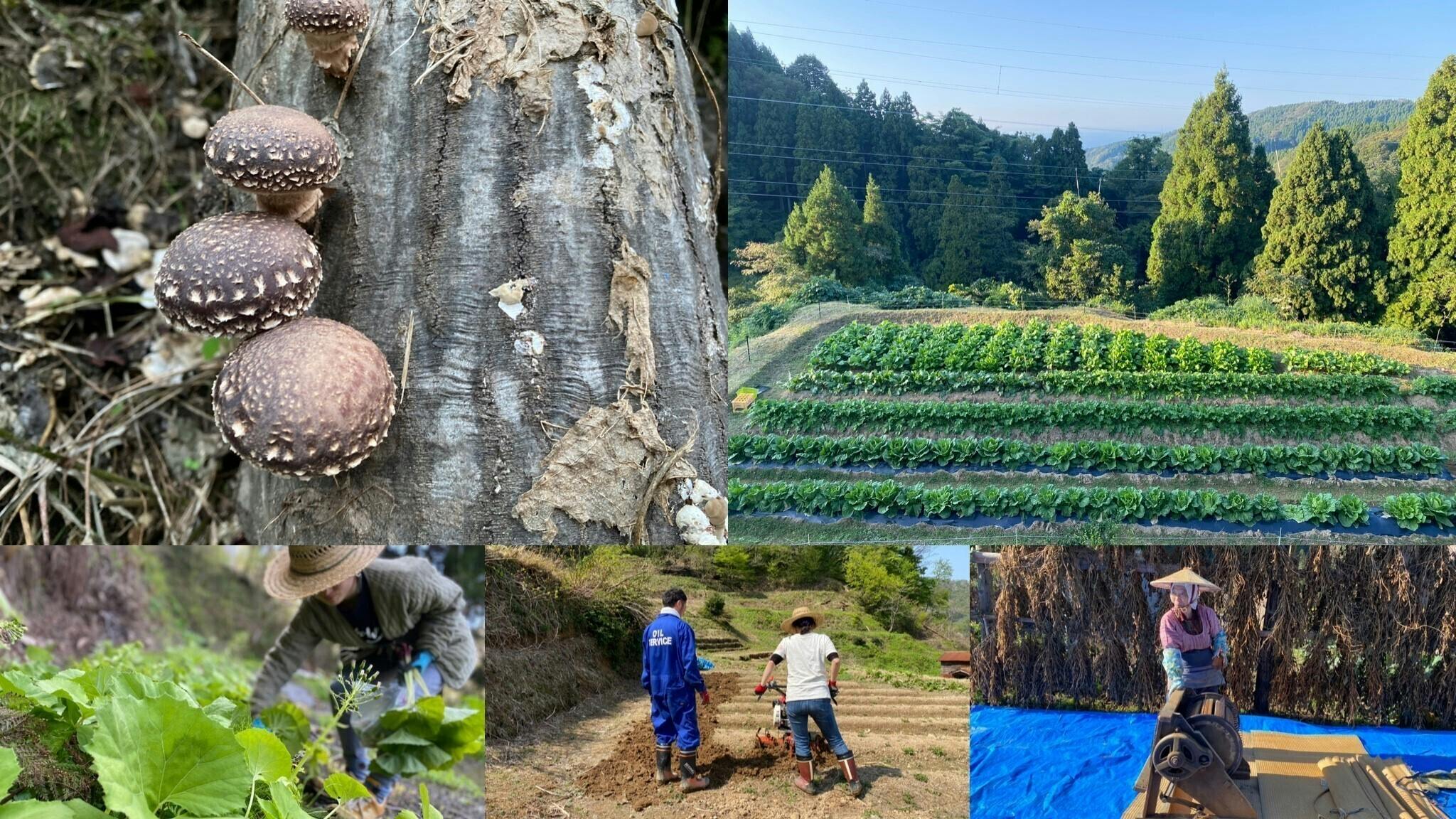 5番目のメイン画像