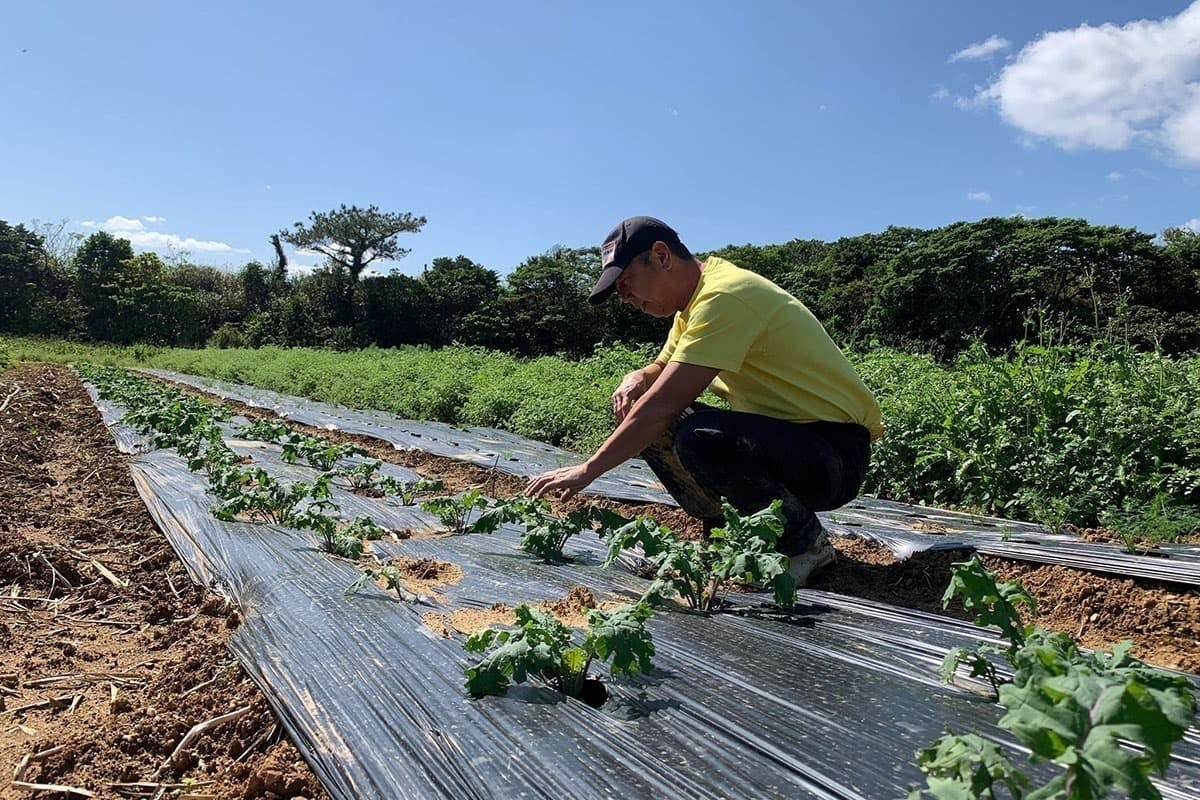 4番目のメイン画像