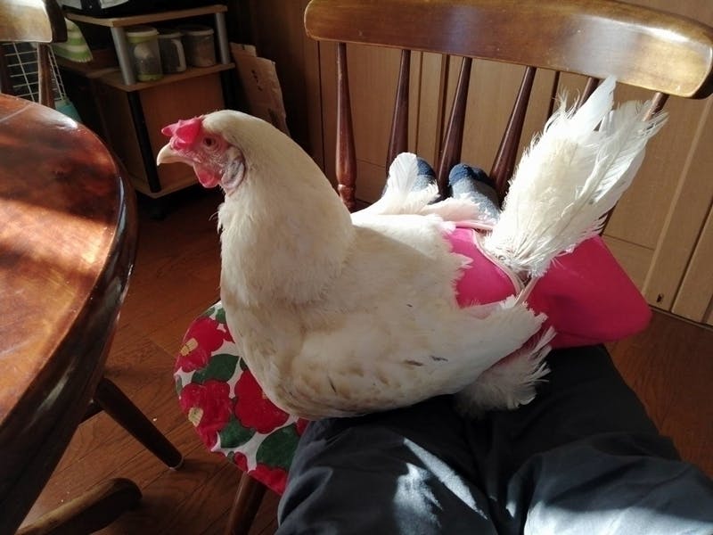 3番目のメイン画像