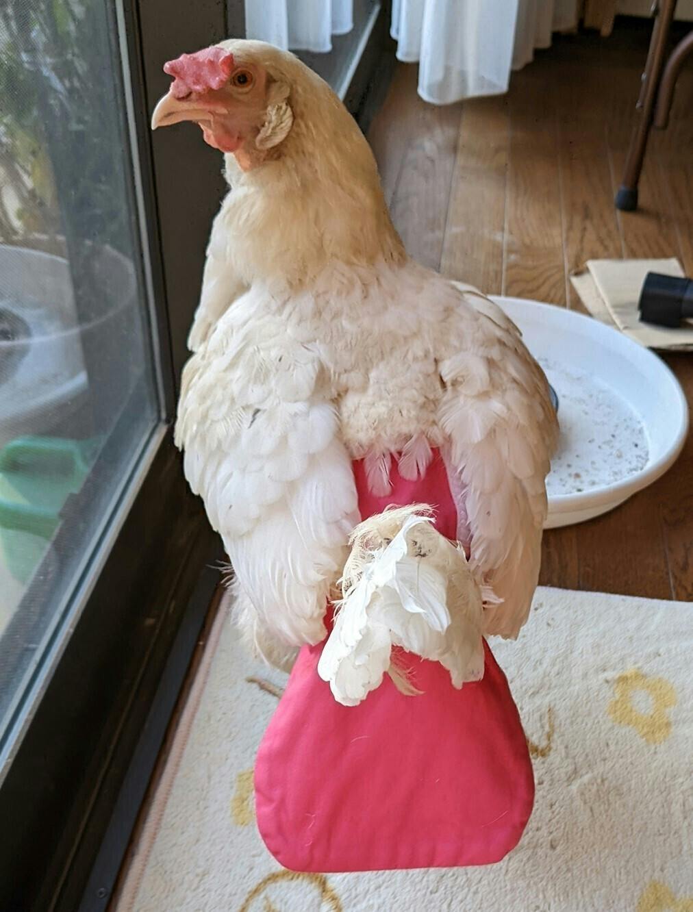 5番目のメイン画像