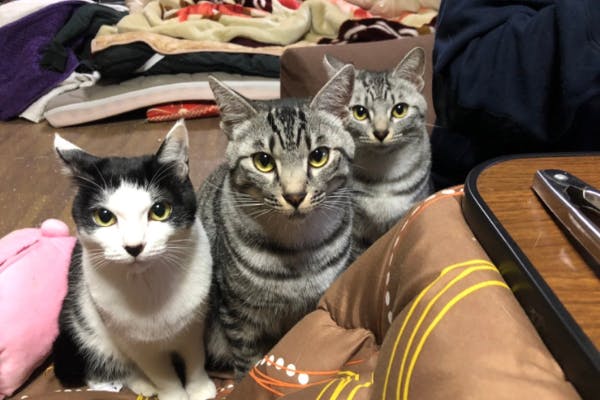 1番目のメイン画像