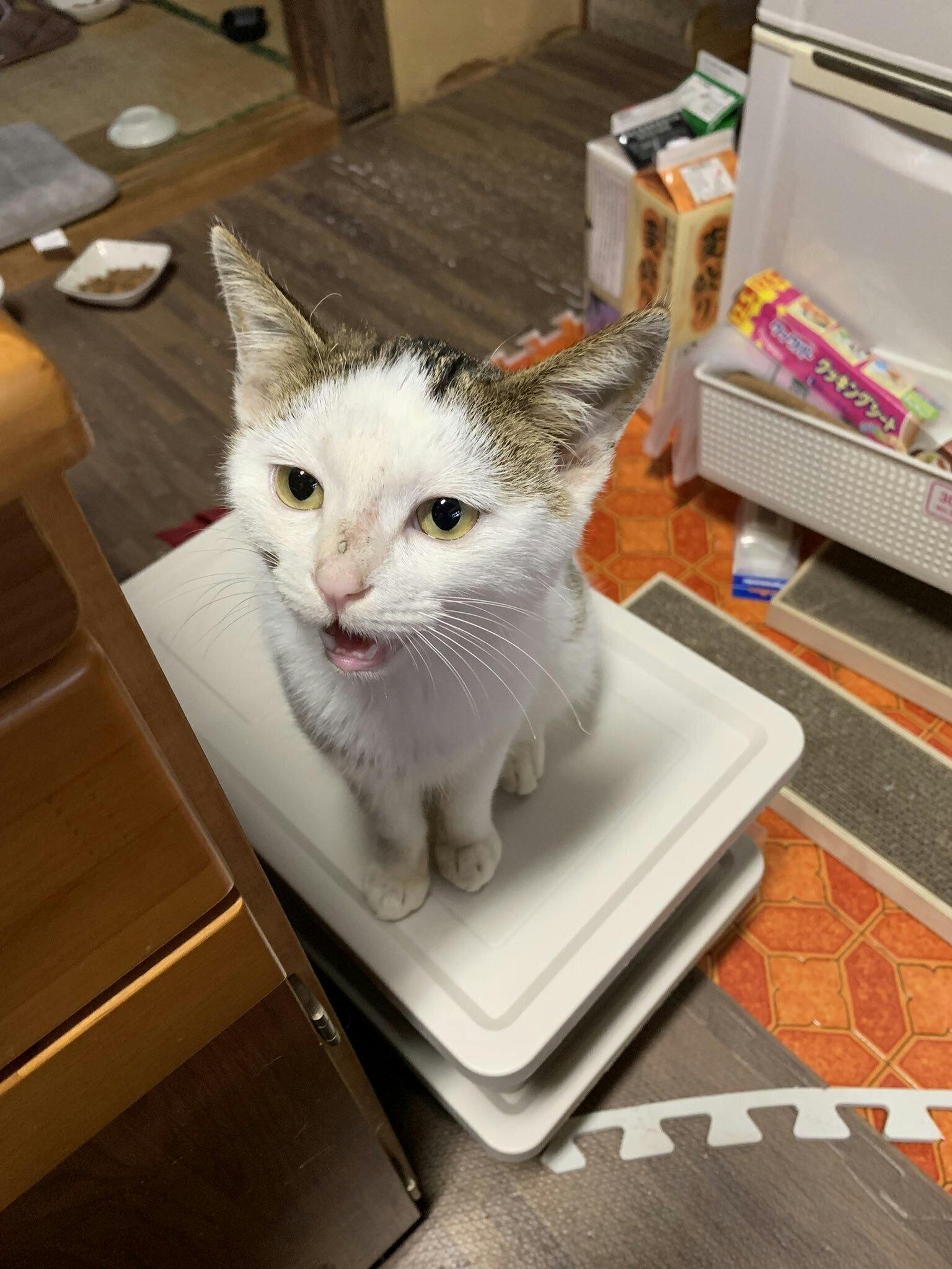 2番目のメイン画像