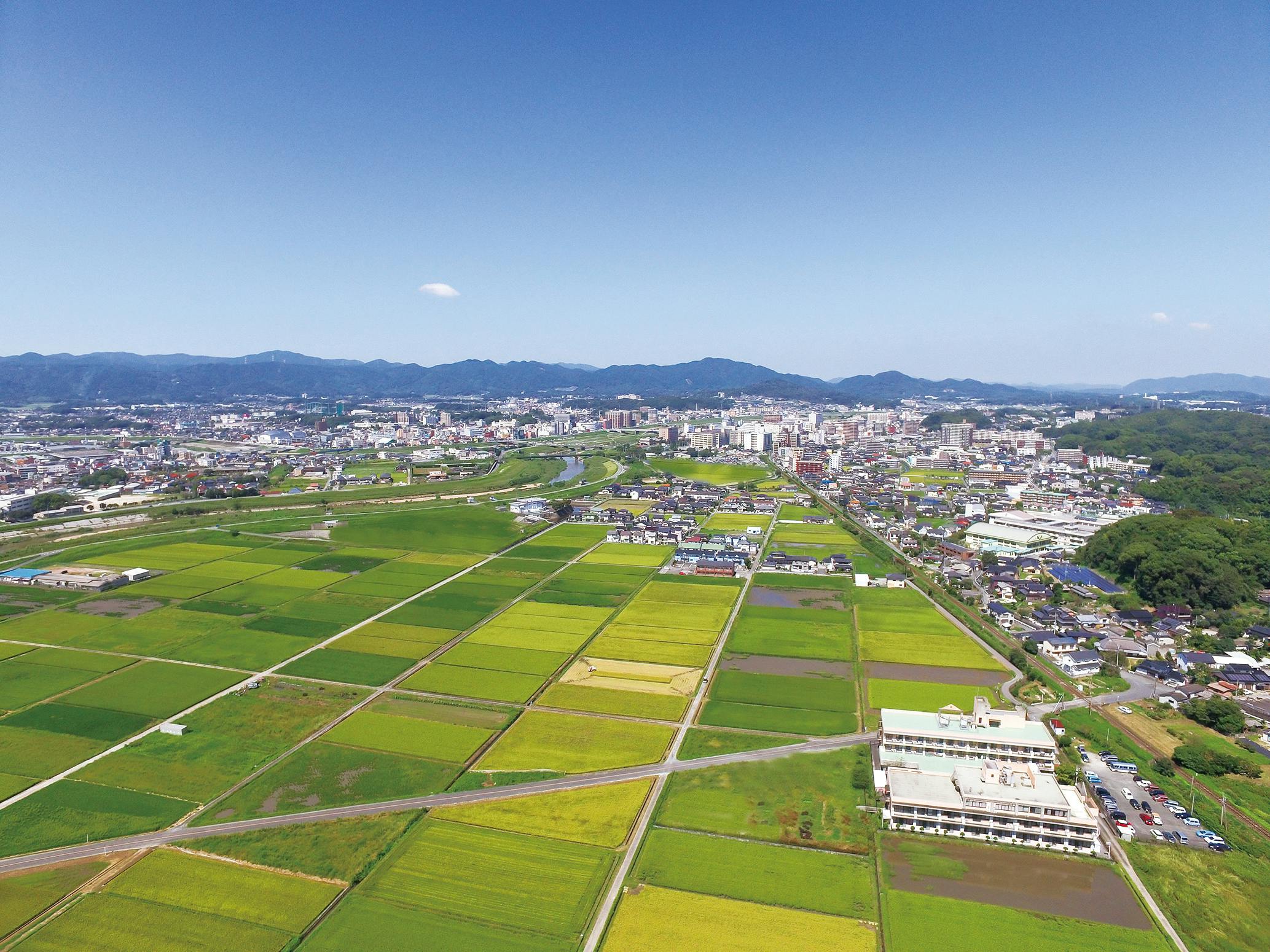 3番目のメイン画像