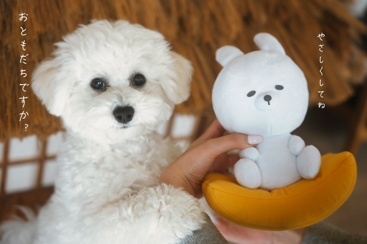 2番目のメイン画像