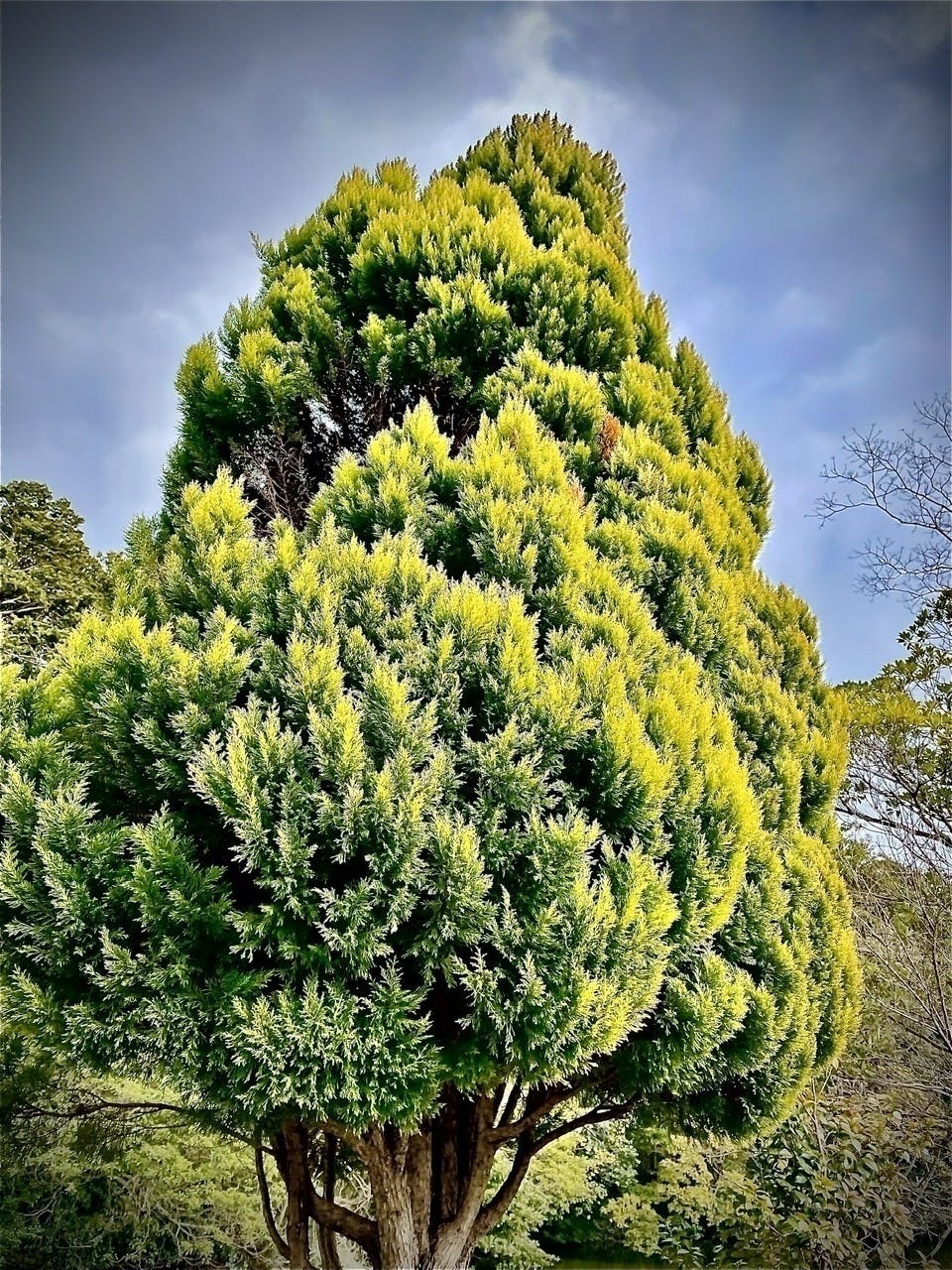 3番目のメイン画像