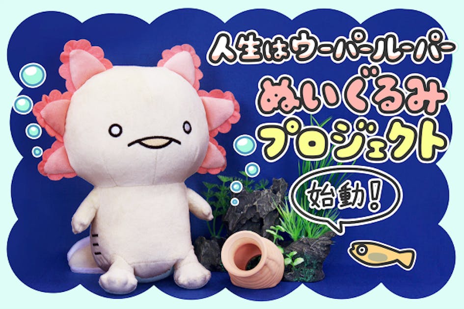 人生はウーパールーパー」ぬいぐるみ化プロジェクト - CAMPFIRE