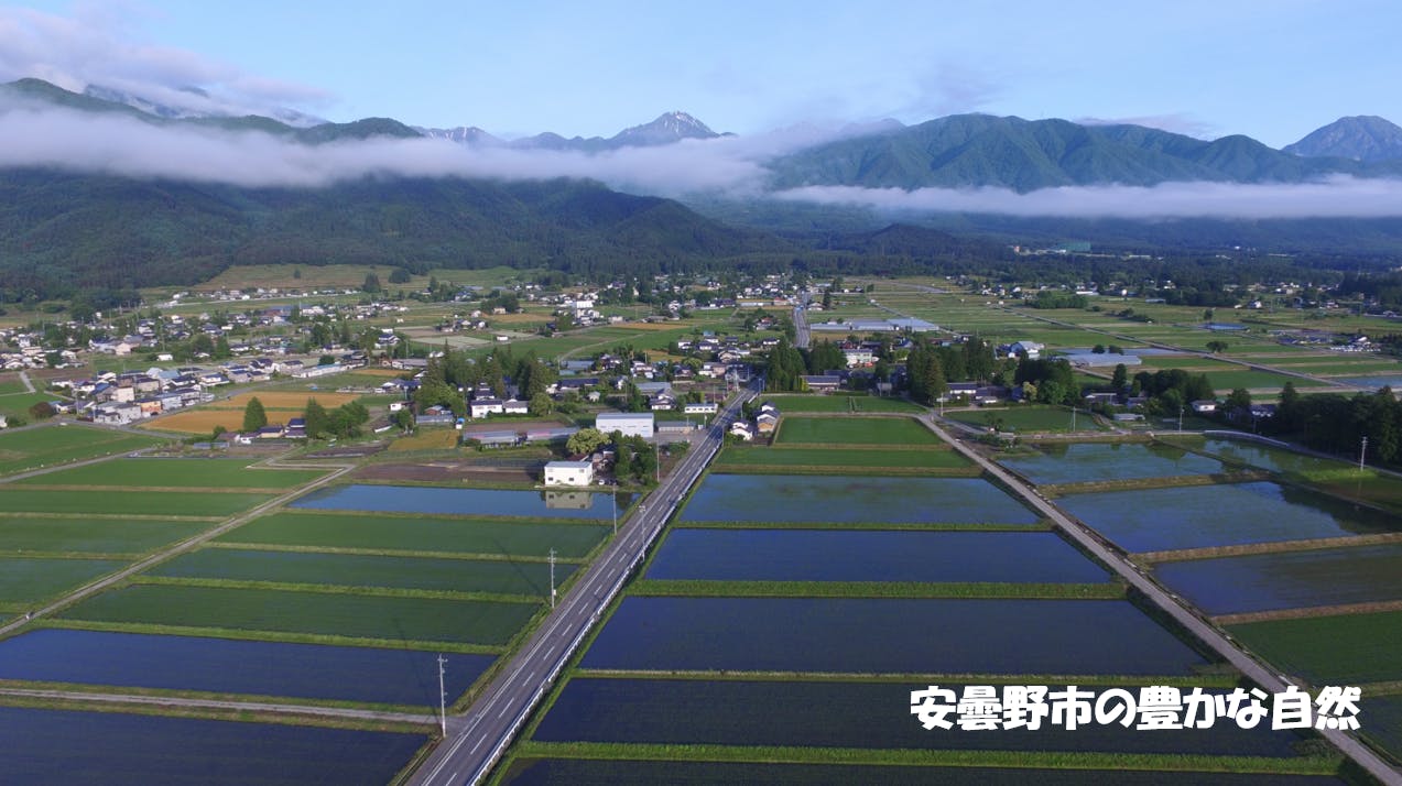 5番目のメイン画像