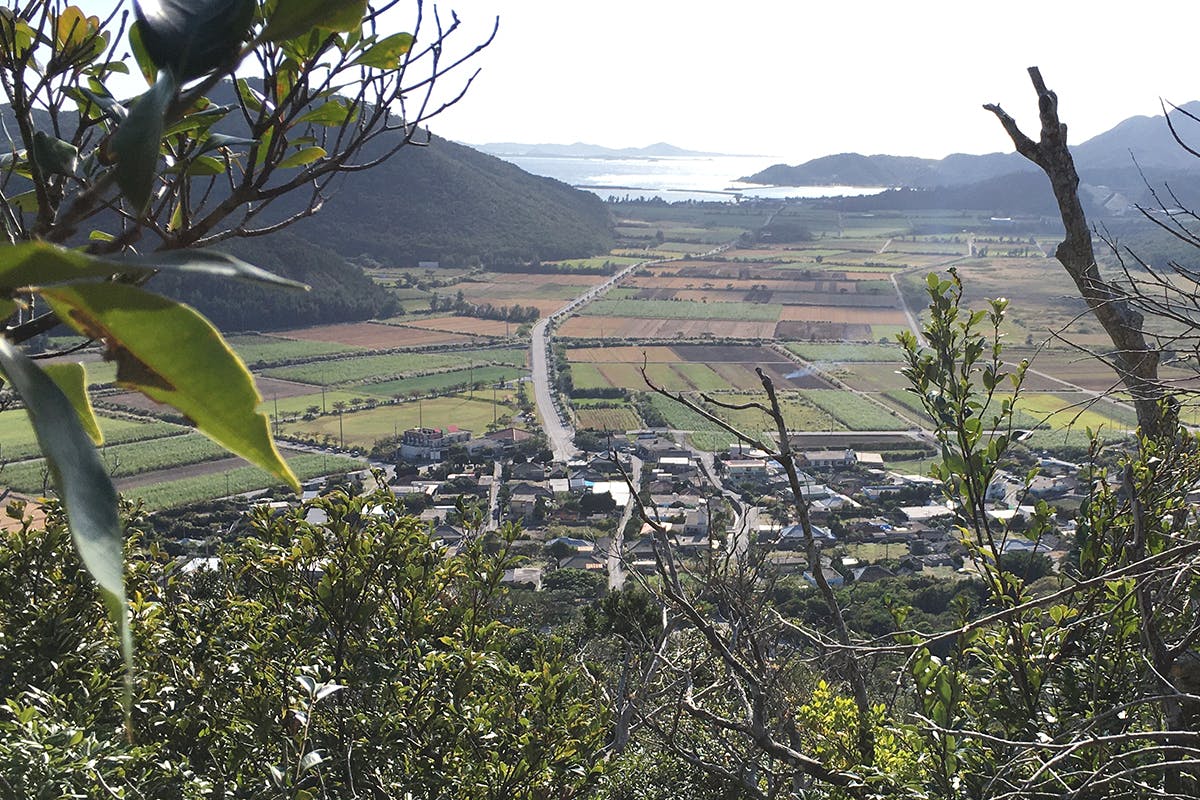 3番目のメイン画像