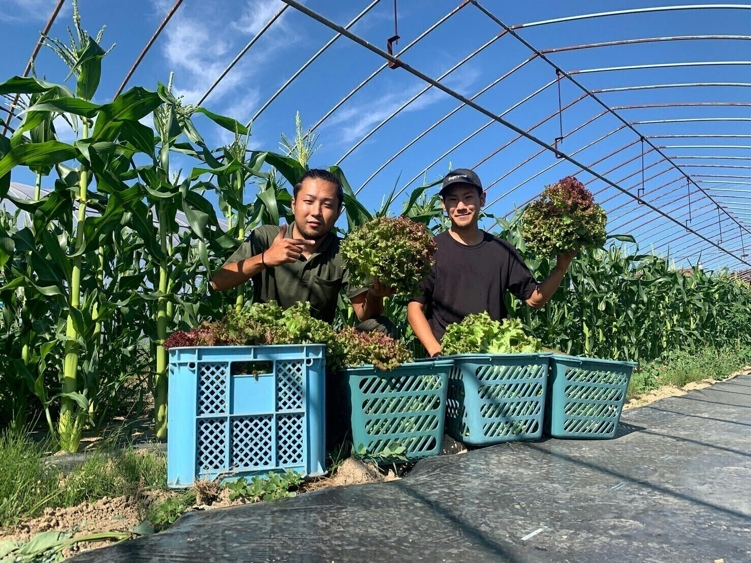 3番目のメイン画像