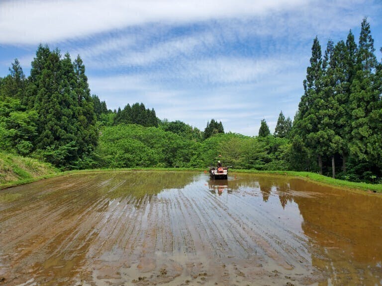 3番目のメイン画像