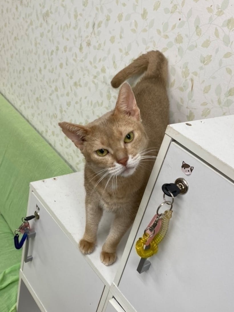 3番目のメイン画像