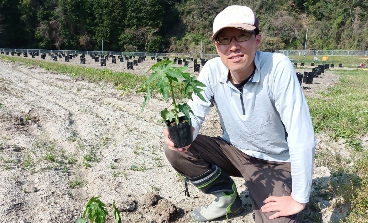 2番目のメイン画像