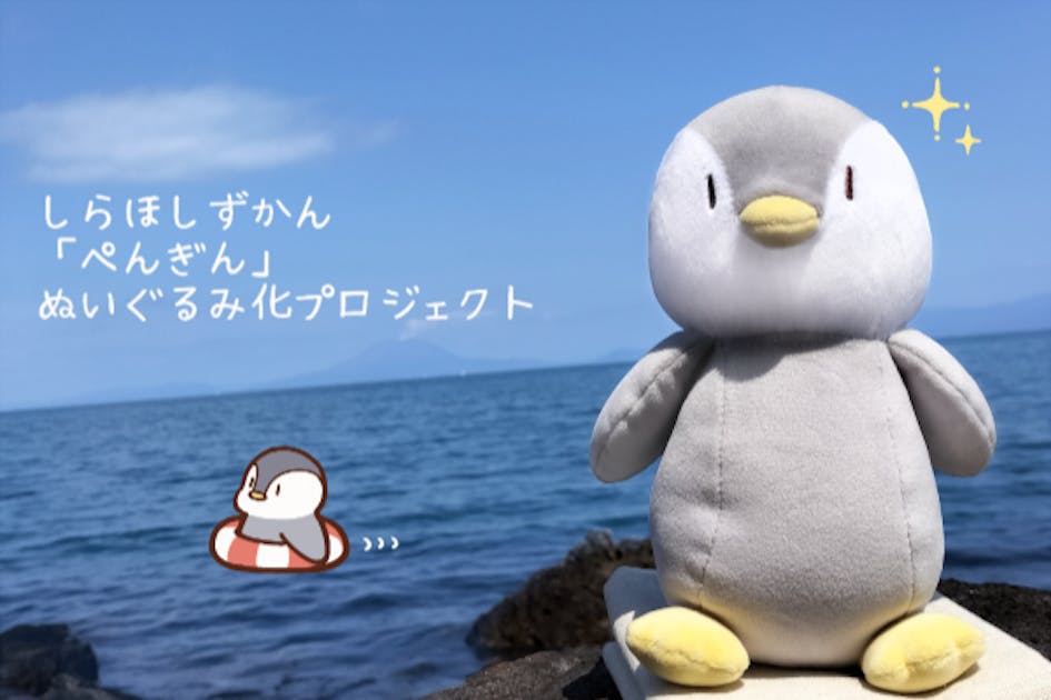 しらほしずかん（ぺんぎん）　ぬいぐるみ20個 しらほしずかん（ぺんぎん） ぬいぐるみ | ぬいぐるみ | エイ