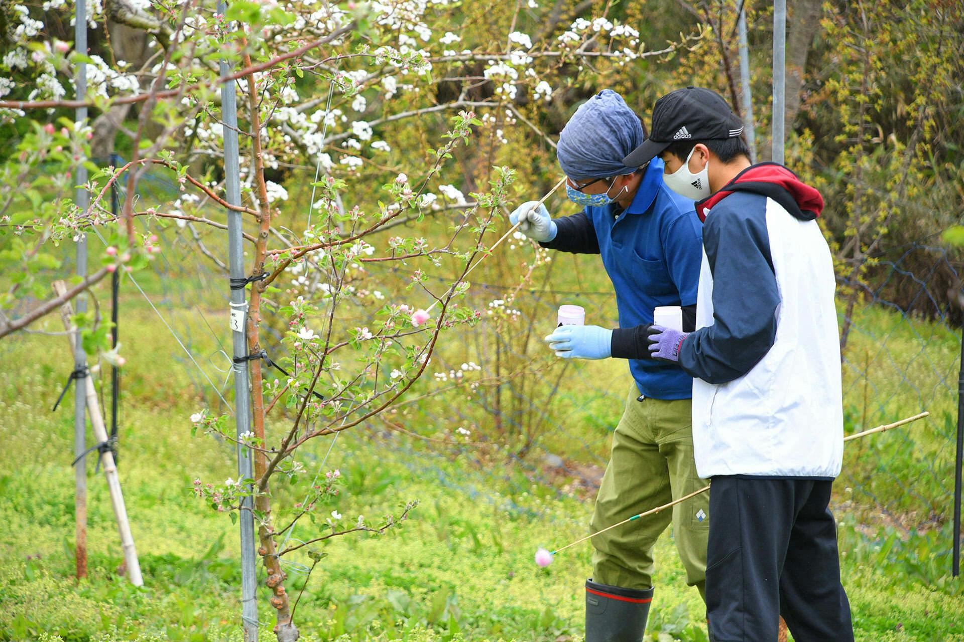 3番目のメイン画像