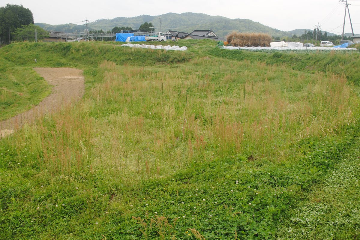 5番目のメイン画像