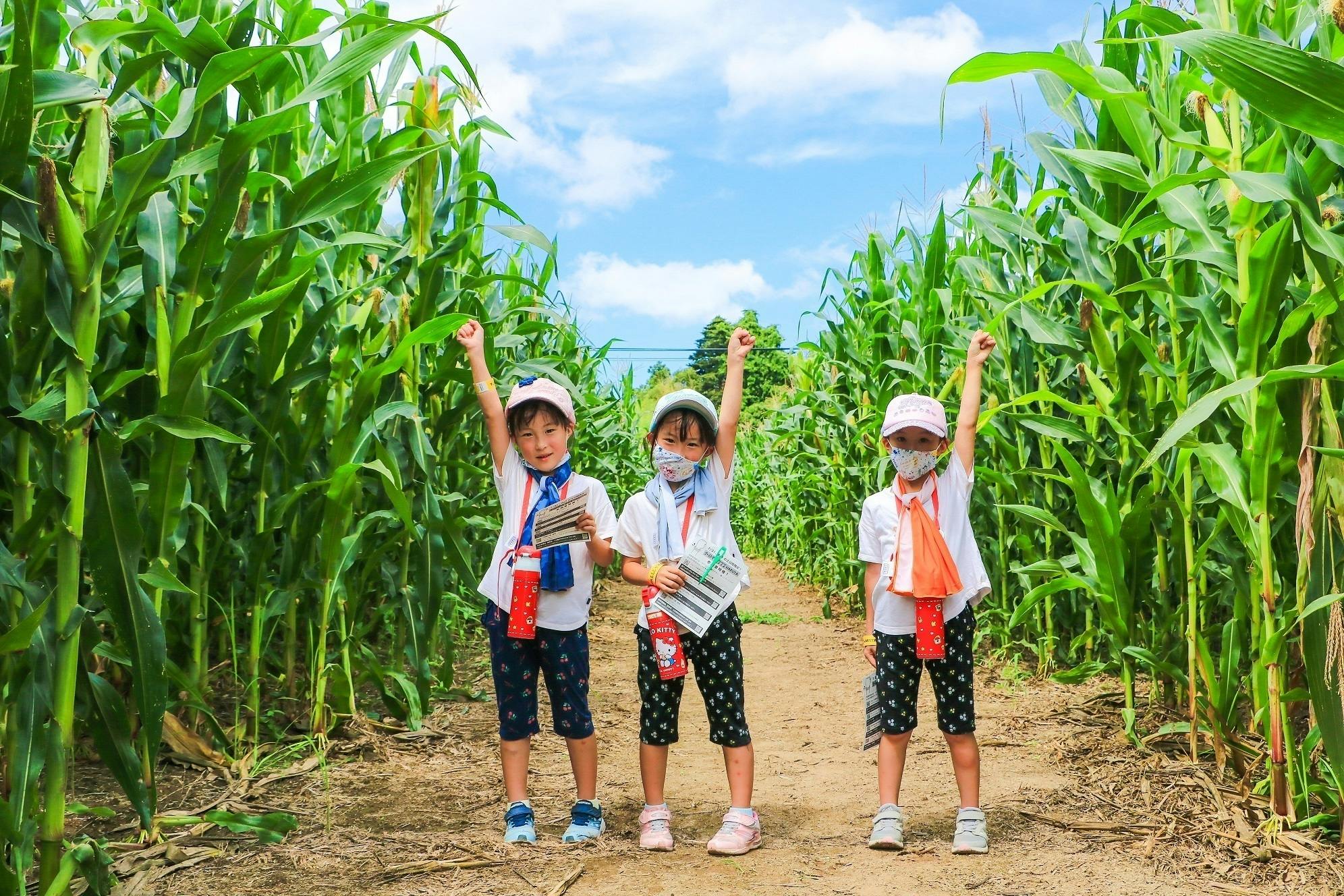 5番目のメイン画像