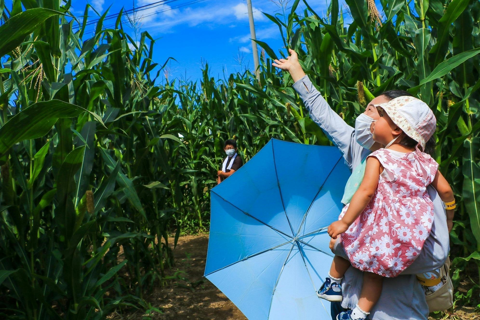 3番目のメイン画像