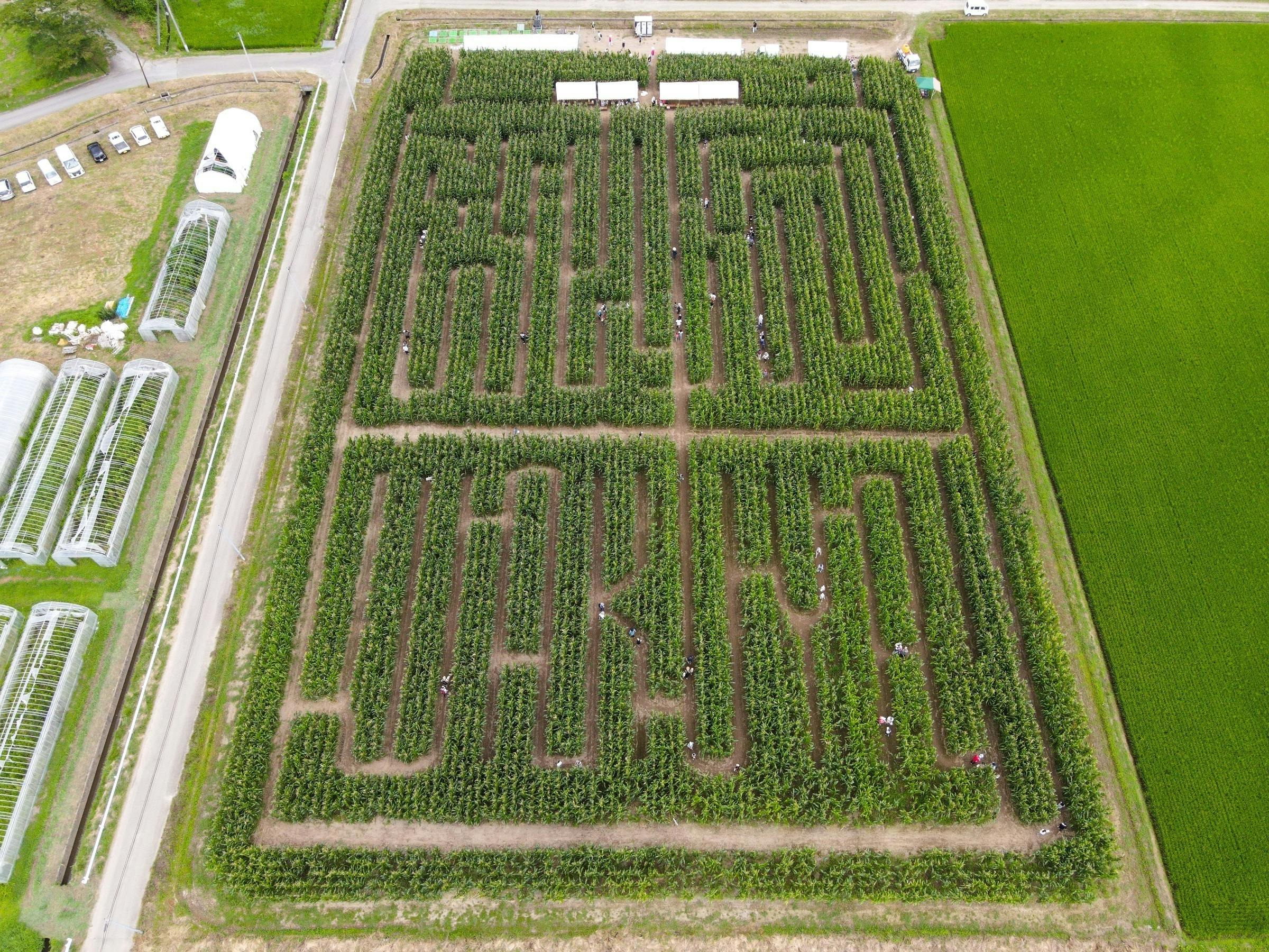 2番目のメイン画像