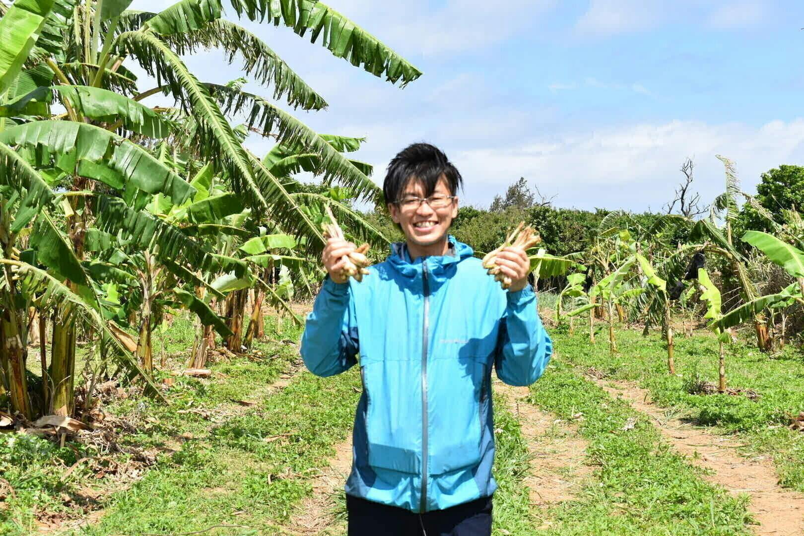 2番目のメイン画像