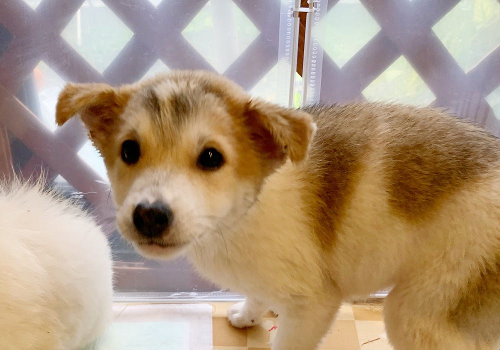 5番目のメイン画像